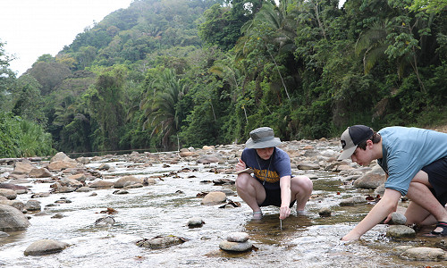 Students, faculty conduct research in Belize